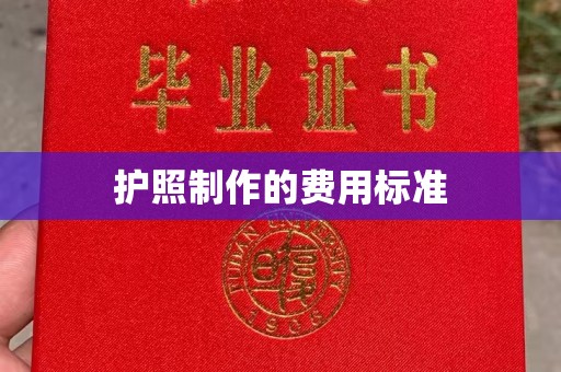 东源护照制作的费用标准