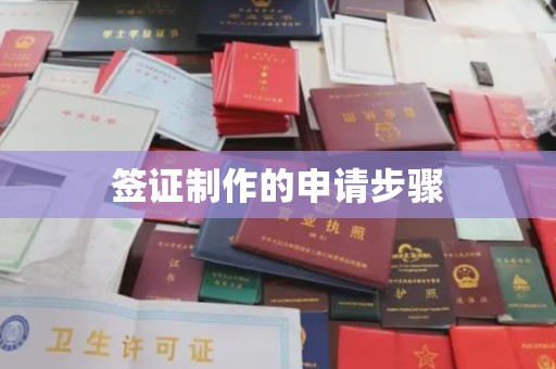 东源签证制作的申请步骤