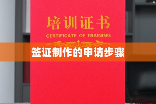 东源签证制作的申请步骤