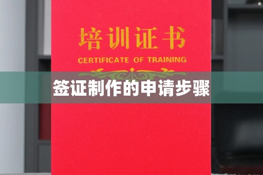 东源签证制作的申请步骤