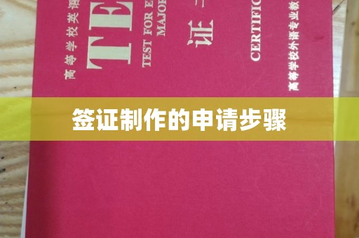 东源签证制作的申请步骤
