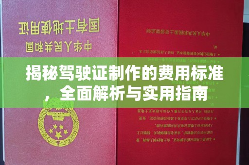 东源揭秘驾驶证制作的费用标准，全面解析与实用指南
