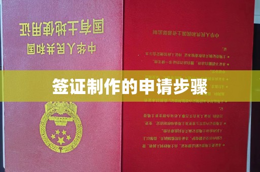 东源签证制作的申请步骤