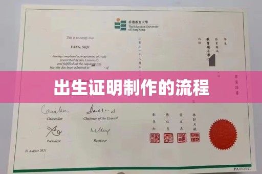 东源出生证明制作的流程