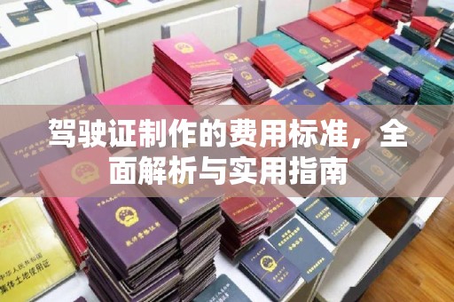 东源驾驶证制作的费用标准，全面解析与实用指南