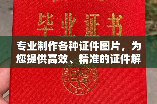 东源专业制作各种证件图片，为您提供高效、精准的证件解决方案