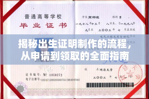 东源揭秘出生证明制作的流程，从申请到领取的全面指南