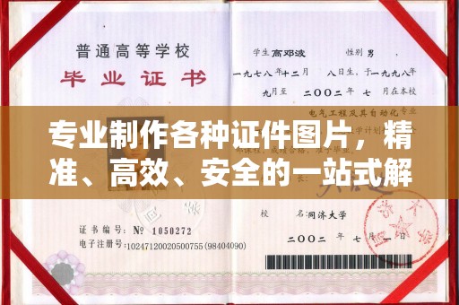 东源专业制作各种证件图片，精准、高效、安全的一站式解决方案