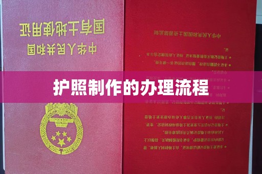 东源护照制作的办理流程